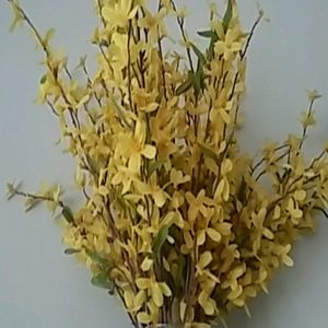 Meet your Posher, Jaclyn